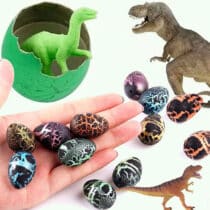 Figurine-oeufs-de-dinosaure-5-pi-ces-ensemble-jouet-ducatif-en-croissance-avec-des-fissures-dans