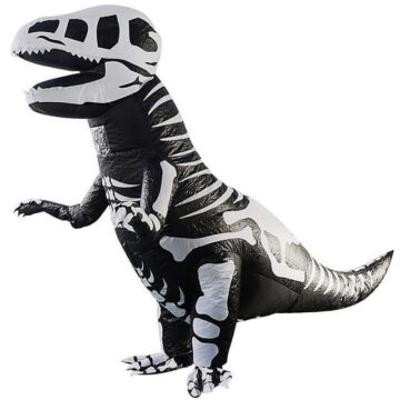 Costume Dinosaure   Halloween